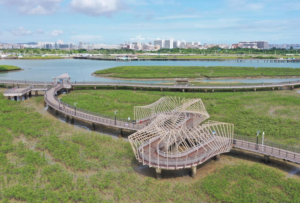 这是7月19日拍摄的厦门市下潭尾红树林公园（无人机照片）。新华社记者 林善传 摄