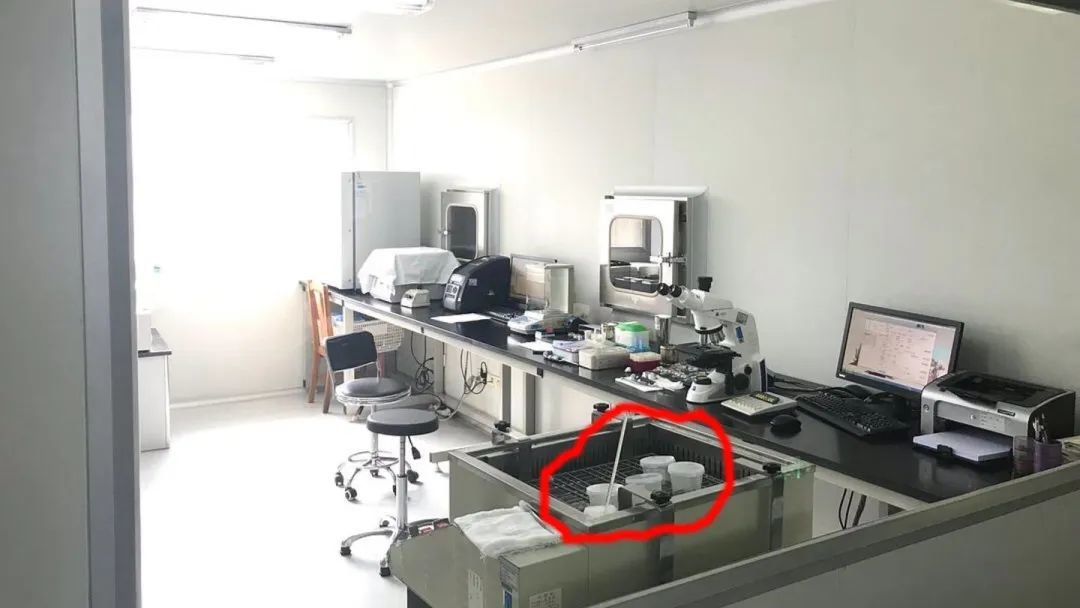 大家的罐罐丨作者供图