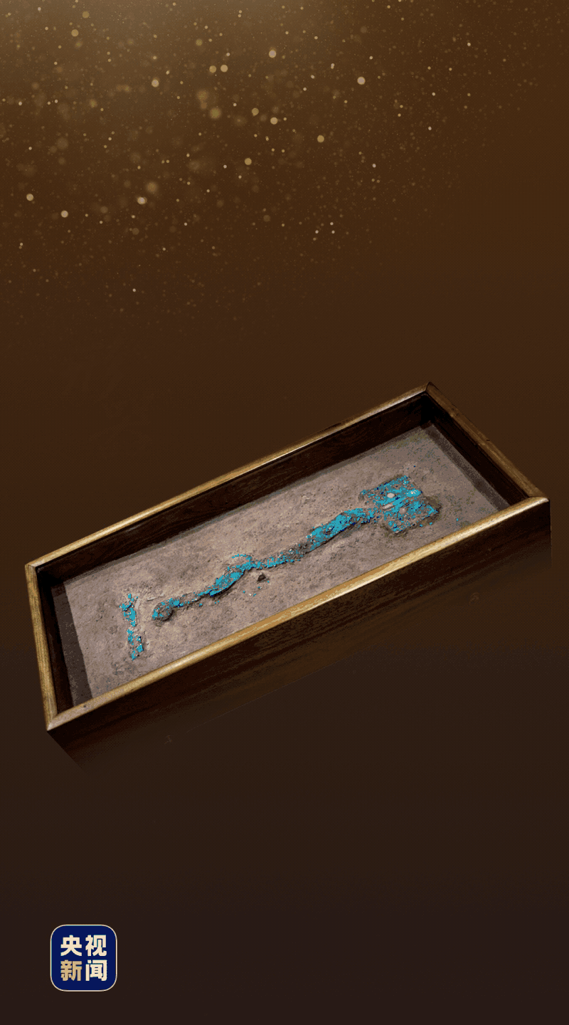 时政微观察丨弄清楚我们“从哪里来的，要到哪里去”