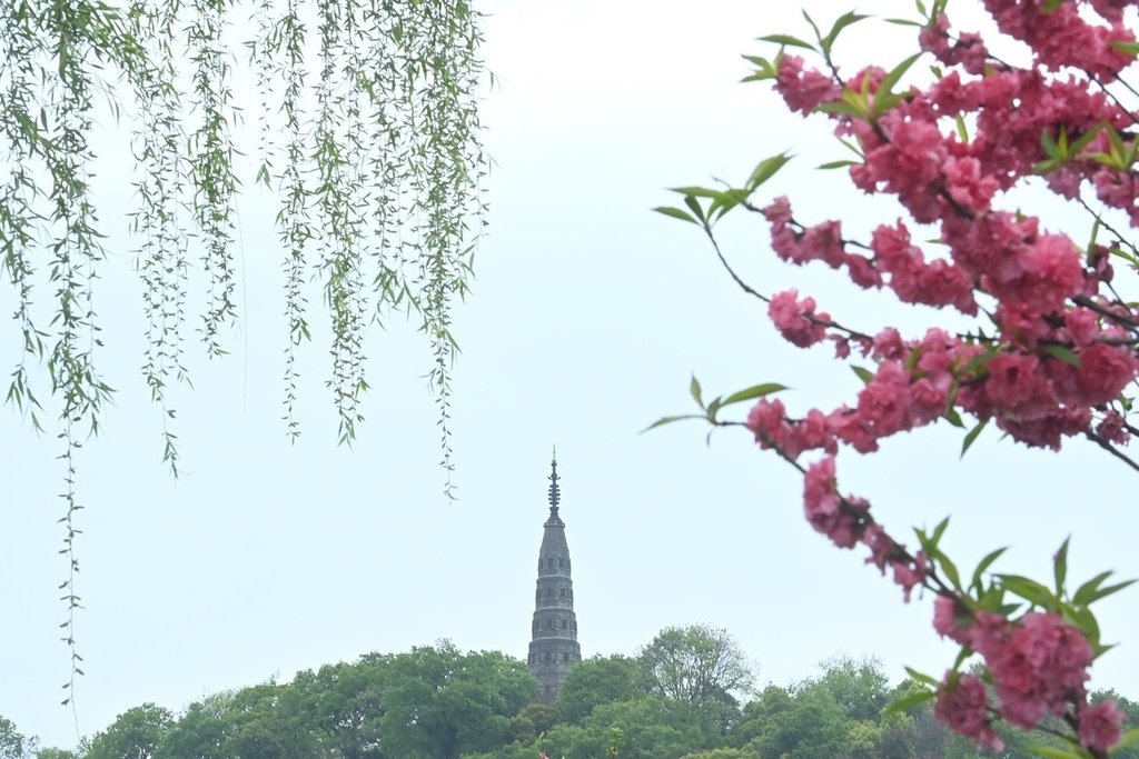 2023年4月4日,浙江杭州,西湖保俶塔前桃红柳绿。江南春日,西湖白堤桃红柳绿,浓浓春意吸引游人。