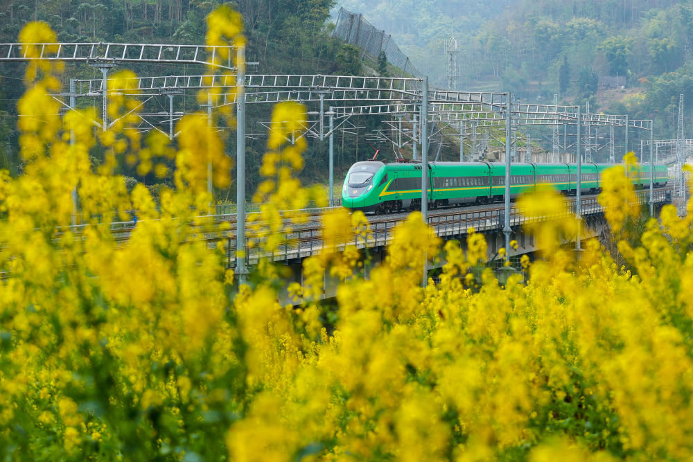 ▲3月10日,复兴号动车组开行在新成昆铁路上。
