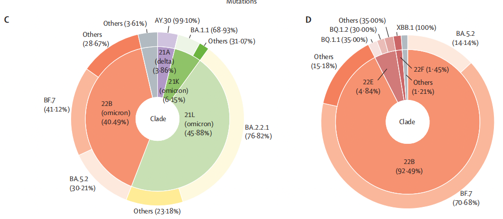 左图为2022年全年在北京流行的新冠病毒变异株的组成,右图为2022年11月14日之后在北京传播的新冠病毒变异株的组成。 内圈代表分支的组成,外圈代表每个分支中的详细谱系(Pango lineage)。来源:柳叶刀