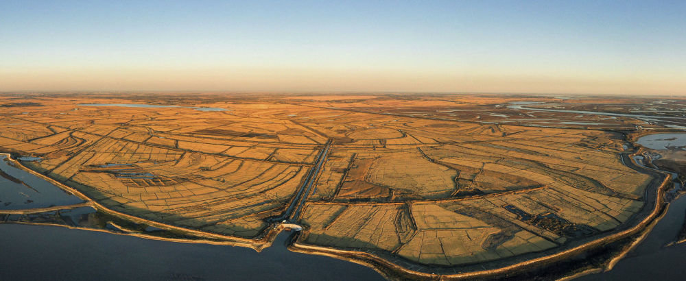 这是在吉林省大安市拍摄的嫩江畔的稻田（2022年10月11日摄，无人机照片）。新华社记者 许畅 摄