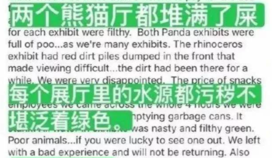 被质疑遭受“虐待”的旅美大熊猫 总算要接回来了