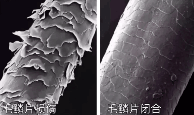 好物推荐 | 吹风机哪个牌子好带,你挑选高性价比的吹风机实用美观又不伤头发