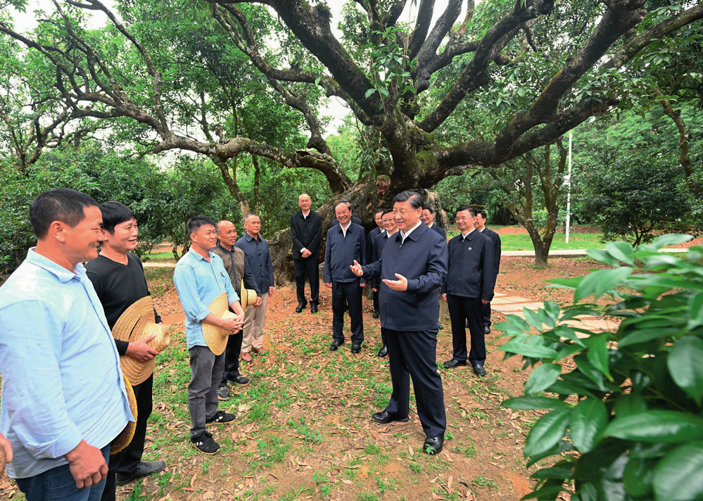 4月10日至13日，中共中央总书记、国家主席、中央军委主席习近平在广东考察。这是11日下午，习近平在茂名高州市根子镇柏桥村荔枝种植园，同现场技术人员亲切交流 李学仁摄/本刊