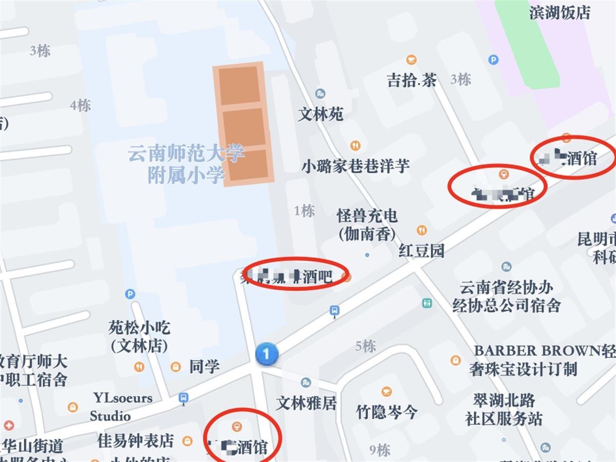 昆明一小学周边存在多个酒吧(地图软件截图)