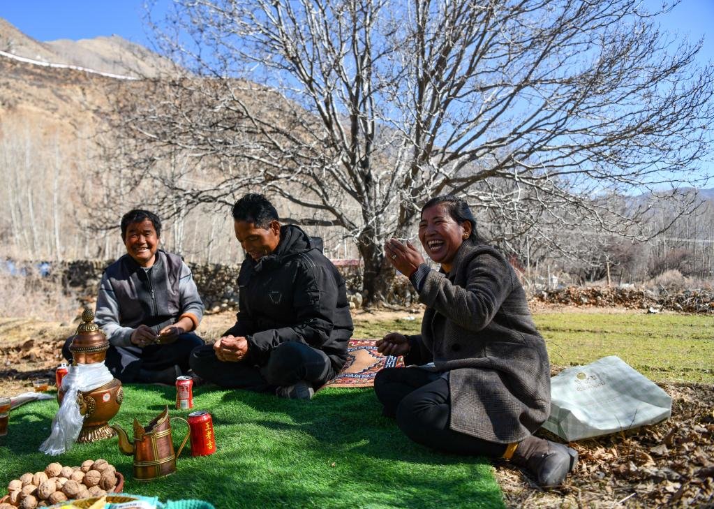 山南市加查县拉岗村村民在核桃树下聊天拉家常（2月1日摄）。新华社记者晋美多吉 摄