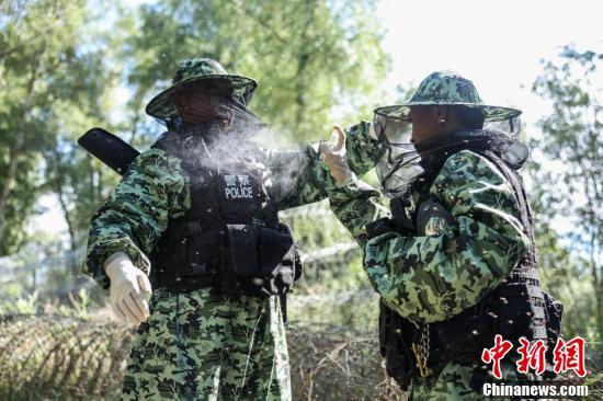 上海哪家助孕机构好一些啊（阿勒泰虫子）阿勒泰为啥蚊子多，