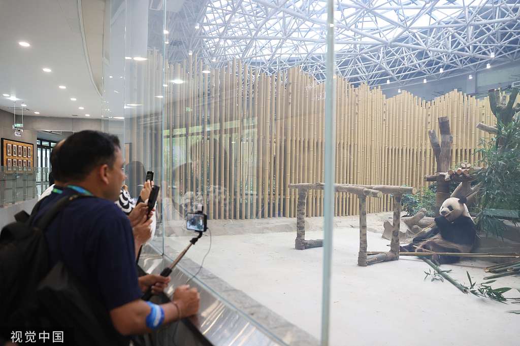 外国选手参观大熊猫基地。