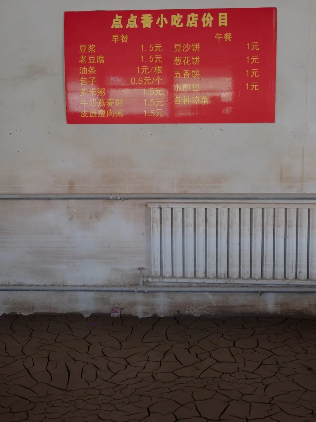 “洪水发生一个月之后，我去了涿州”