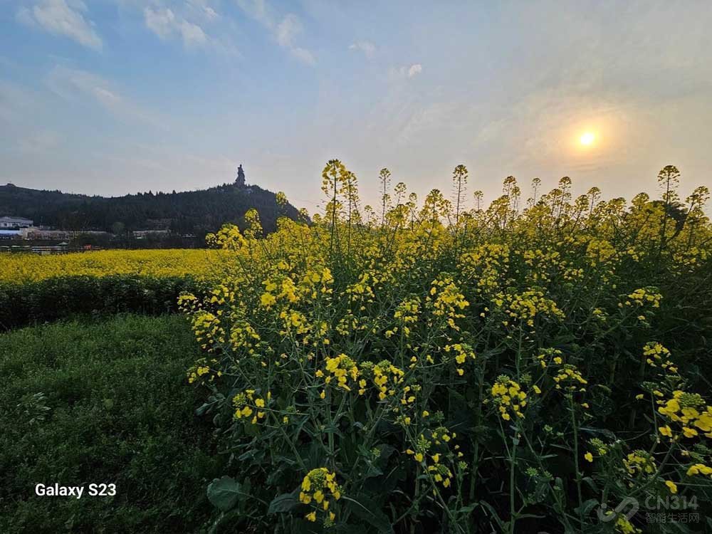 除了大小 三星Galaxy S23和S23+区别在哪