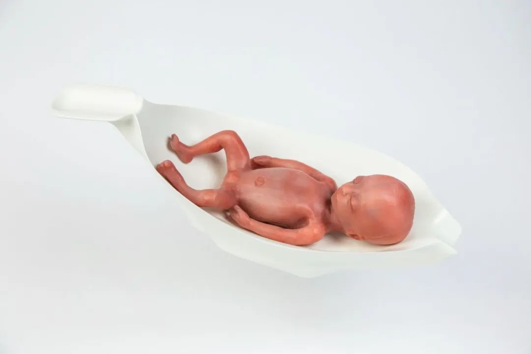 ▲模拟“胎儿在人造子宫内”的模型