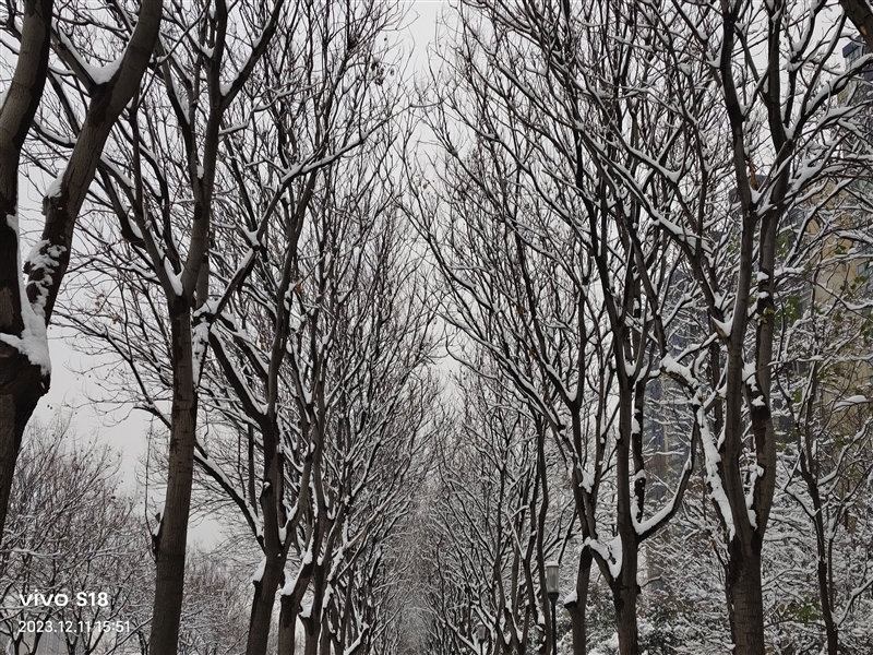 8mm机身下的续航王者!vivo S18评测:5000mAh超薄蓝海电池 轻松用一天半