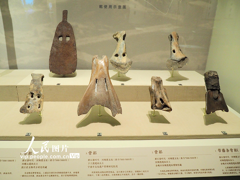 2023年11月8日,北京,中国国家博物馆“远古江南·海陆山河——河姆渡文化发现50周年考古成果特展”对公众开放。 展览分为“古渡新声”“潮起东南”“探海溯源”三个部分,展出河姆渡遗址、田螺山遗址、塔山遗址、井头山遗址等出土的陶器、石器、骨器、贝器、木器、编织物等文物324件(套)。杜建坡摄(人民图片网)