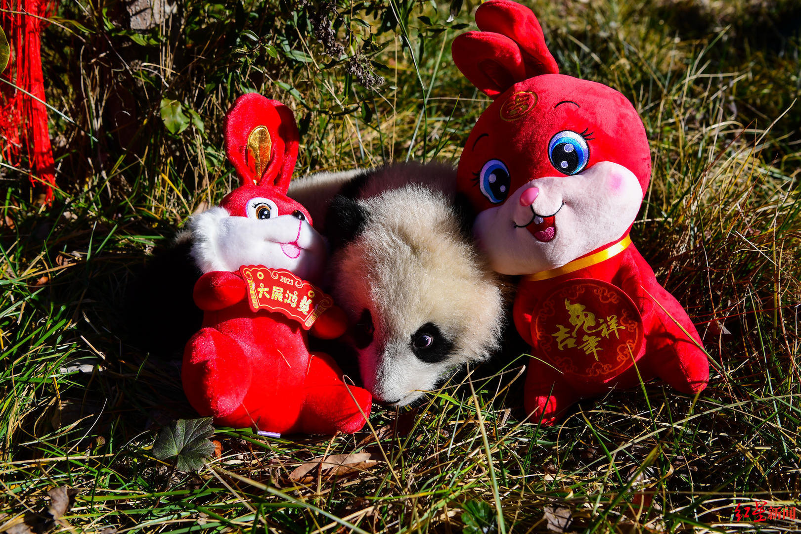 WeChat Image_20230118154342.jpg