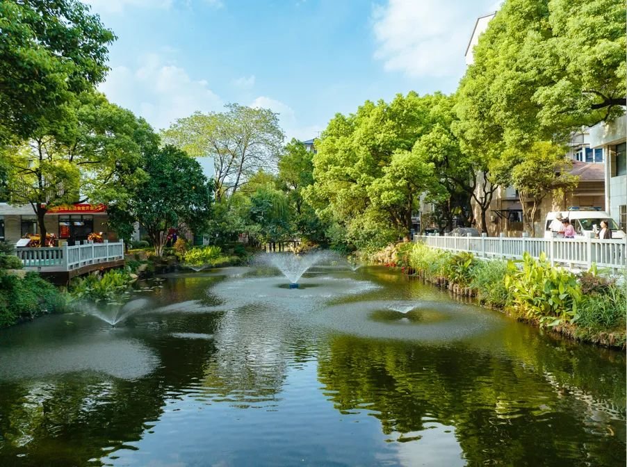 西湖区翠苑一区池塘 图源:西湖区五水共治