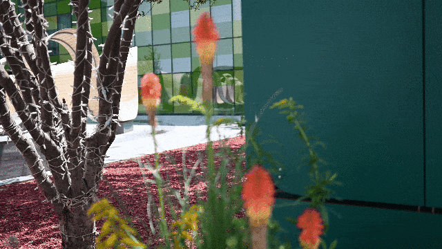 【有料评测】尼克尔Z DX 24mm f/1.7评测:轻量化大光圈定焦镜头