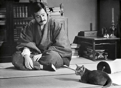 夏目漱石与猫