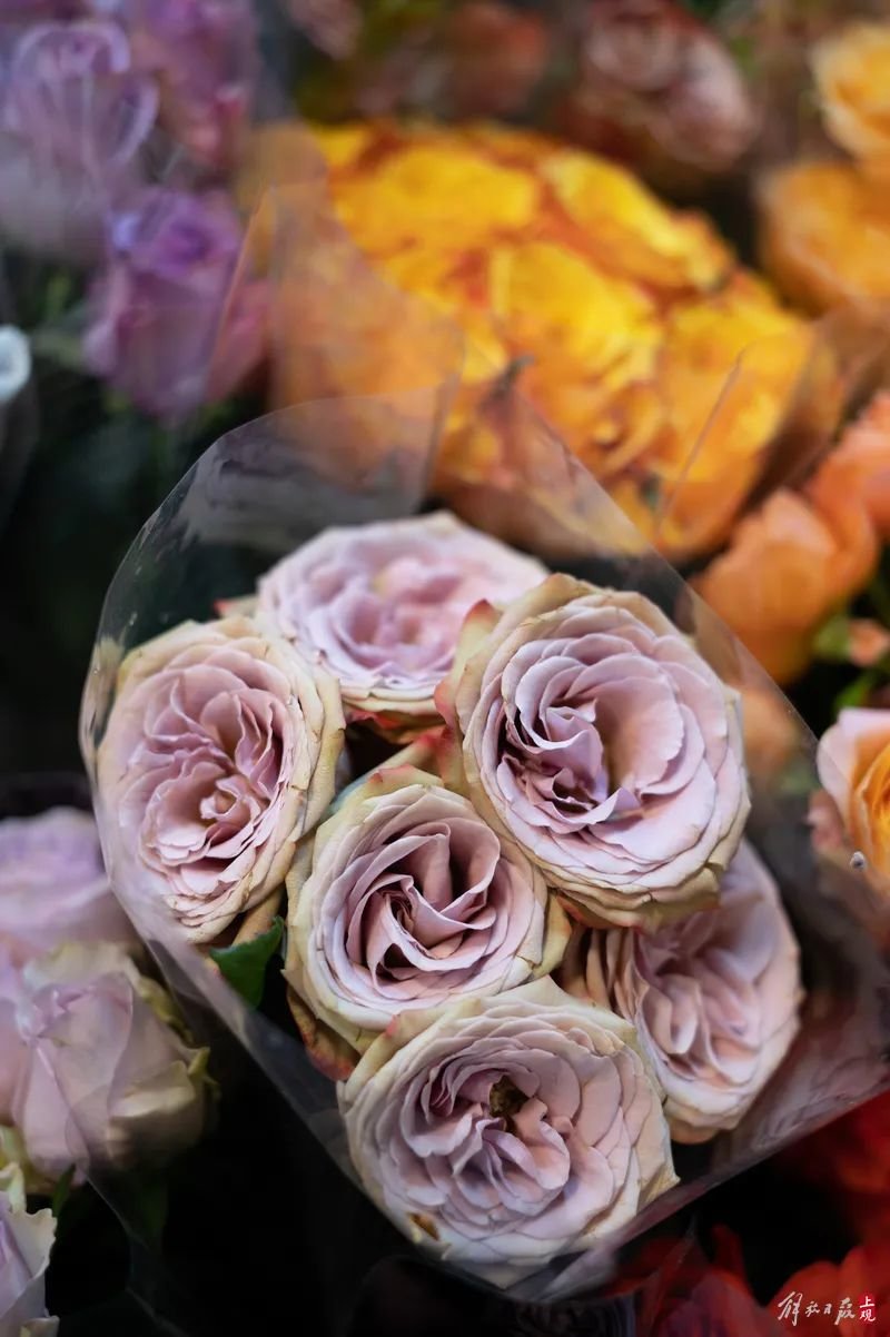 卡布奇诺的颜色柔和有层次，是近两年很受市场追捧的玫瑰品种。沈玲表示，这种花很难进到货，店里零售价格在20元一支。