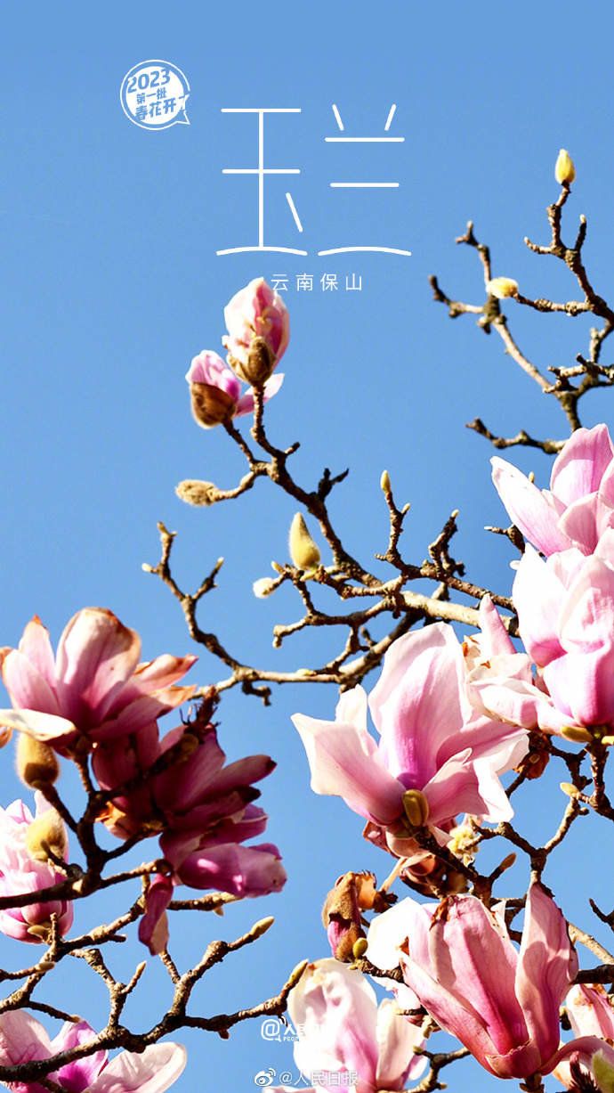 6.jpg?x-oss-process=style/w10