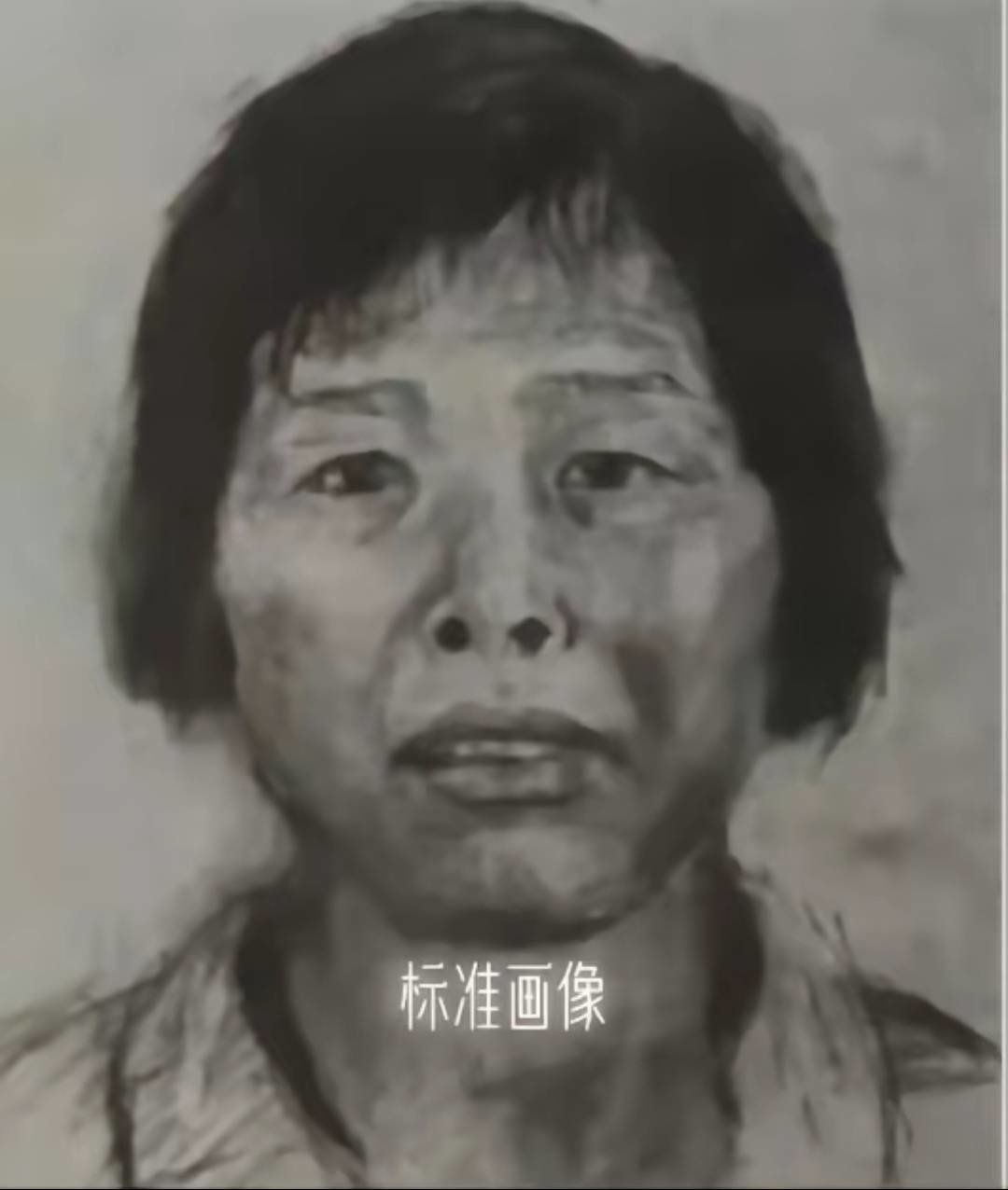 梅姨画像(来源网络)