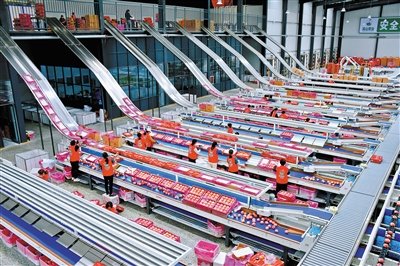 河南省灵宝市，一家果品企业的智能分拣包装车间内，工人借助智能分拣系统进行评级分拣。