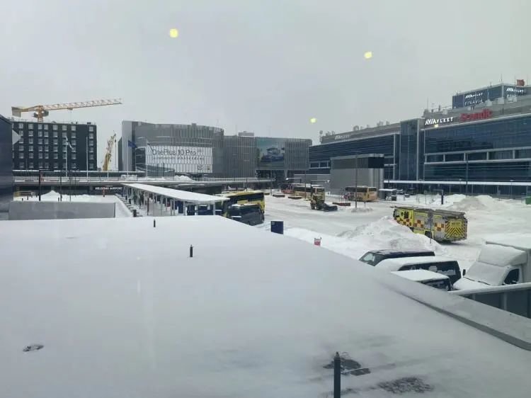 这个春节,我终于带新郎见到了爸妈