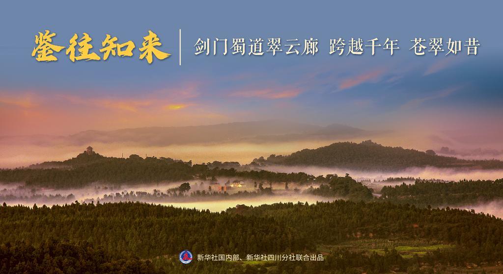 鉴往知来｜剑门蜀道翠云廊 跨越千年 苍翠如昔