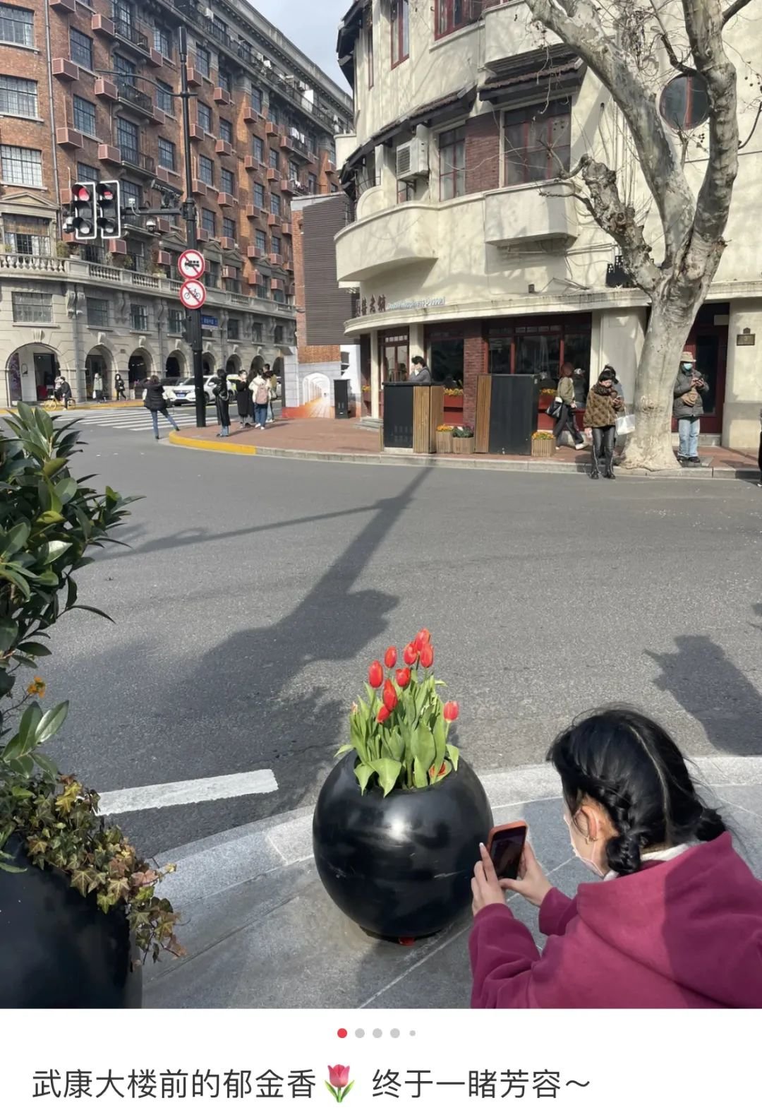 上百人排队打卡上海武康路郁金香 网友:这是“诈骗”!