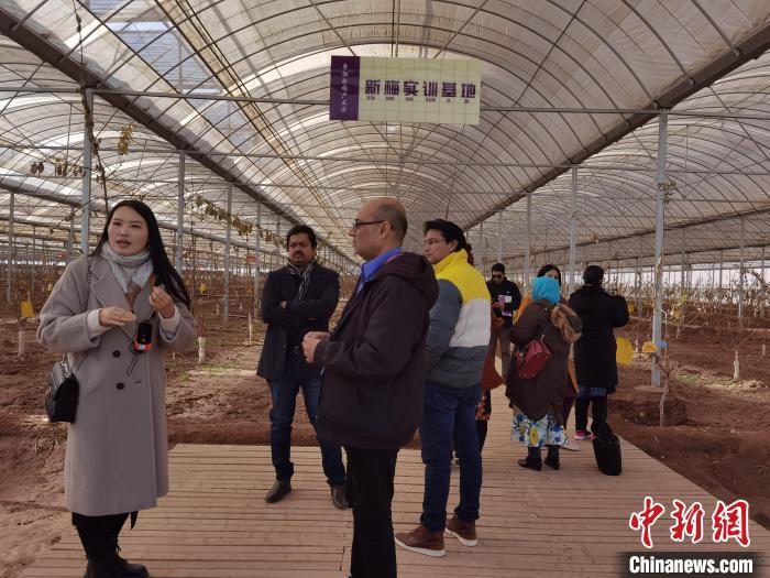 12��12�գ��ͻ�˹̹ý���ǿ���ʿ�����½���ʲ����٤ʦ����٤��÷��ҵ԰��÷ʵѵ���ء�������ѩӨ ��