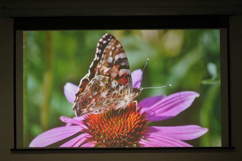 色彩亮度我都要!Vidda C1S评测:三色激光画质优秀 同亮度碾压单激光