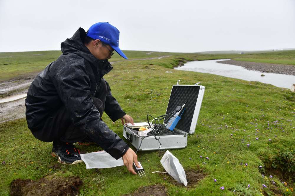 来自长江科学院空间信息技术应用研究所的科考队员张双印在风雨中观测当曲查旦湿地土壤指标(7月24日摄)。新华社记者 李劲峰 摄