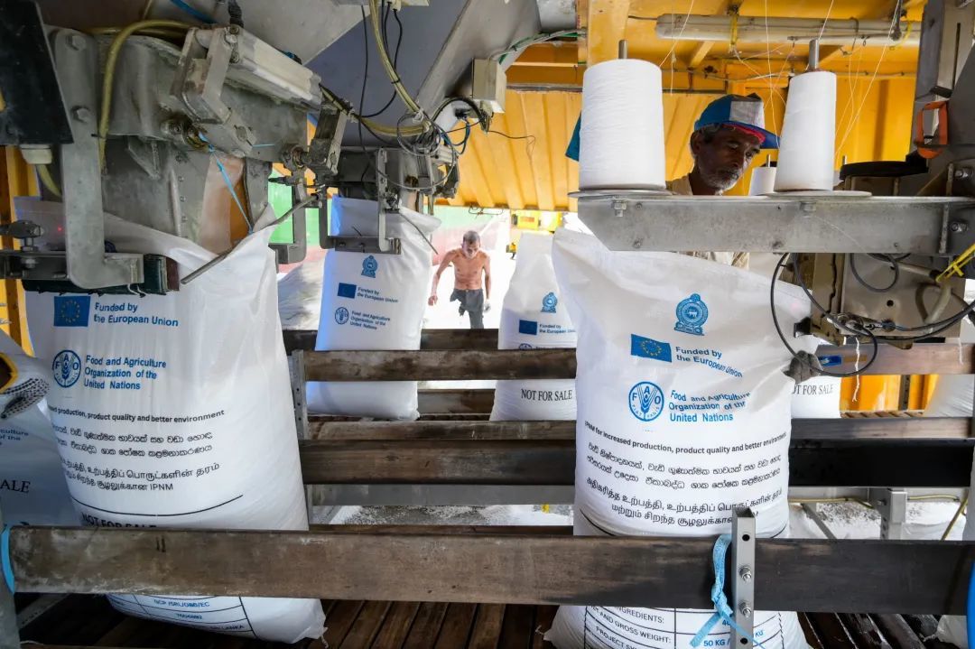 ◆2023年4月8日，粮农组织采购的3820吨尿素肥料移交给斯里兰卡农业部，以分发给当地小农。