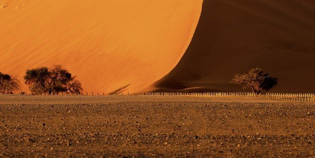 画质超越全幅机型 富士中画幅相机GFX 50S II非洲之旅