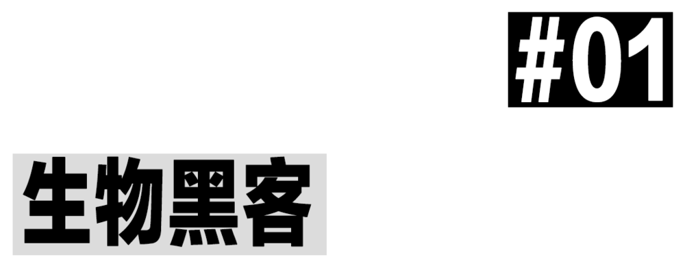 生物黑客：新富人的长生不老术