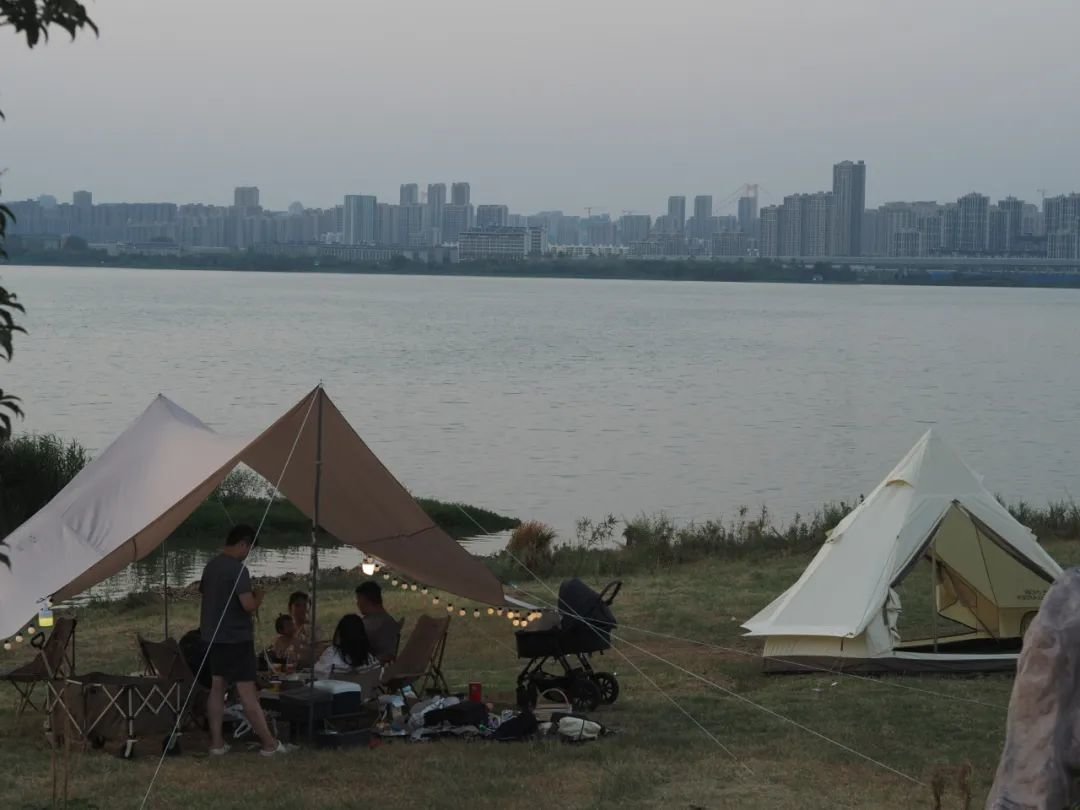 特雷西在武汉长江边上野餐