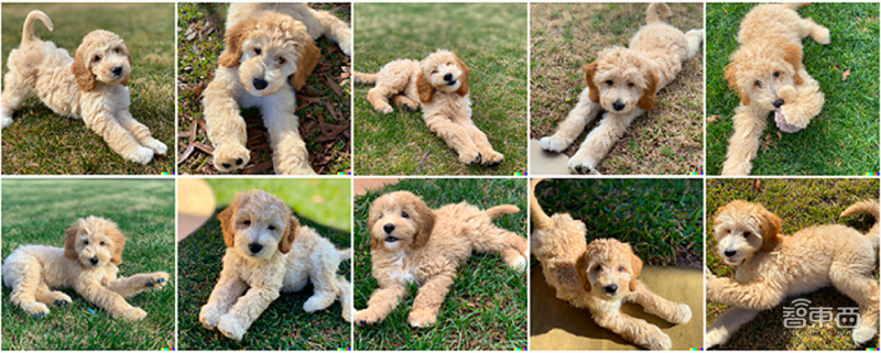 卷王都在用!100款宝藏级AIGC工具分享,强烈建议收藏插图21 苹果MR点燃元宇宙新火,瑞声科技亮出多个XR大招,从幕后走到台前