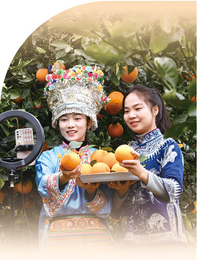 农产品销售主播在贵州省榕江县平江镇一处脐橙种植基地直播推销脐橙。杨成利摄（影像中国）
