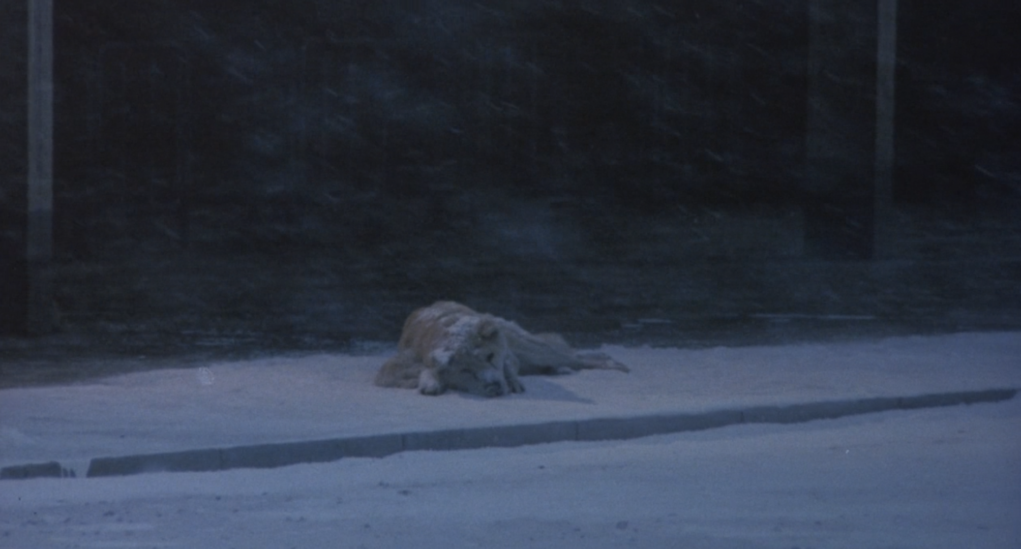 截屏2023-04-04 10.25.07.png