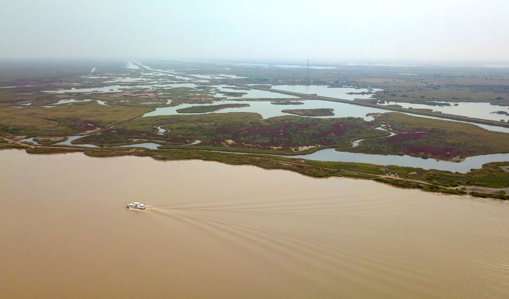 这是在山东省东营市拍摄的黄河与黄河三角洲湿地（2023年10月12日摄，无人机照片）。新华社记者 徐速绘 摄