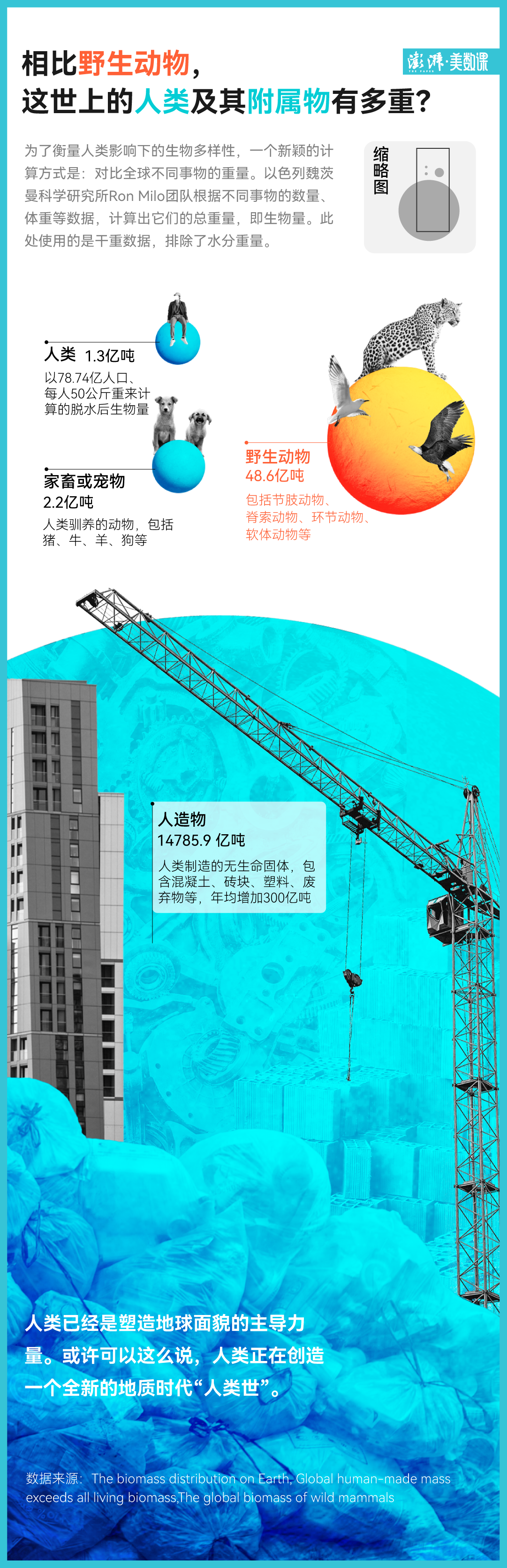 想要衡量生物多样性，我们来给全球动物称一下体重, image size:1081x3340