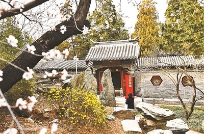 早春时节,颐和园益寿堂外景