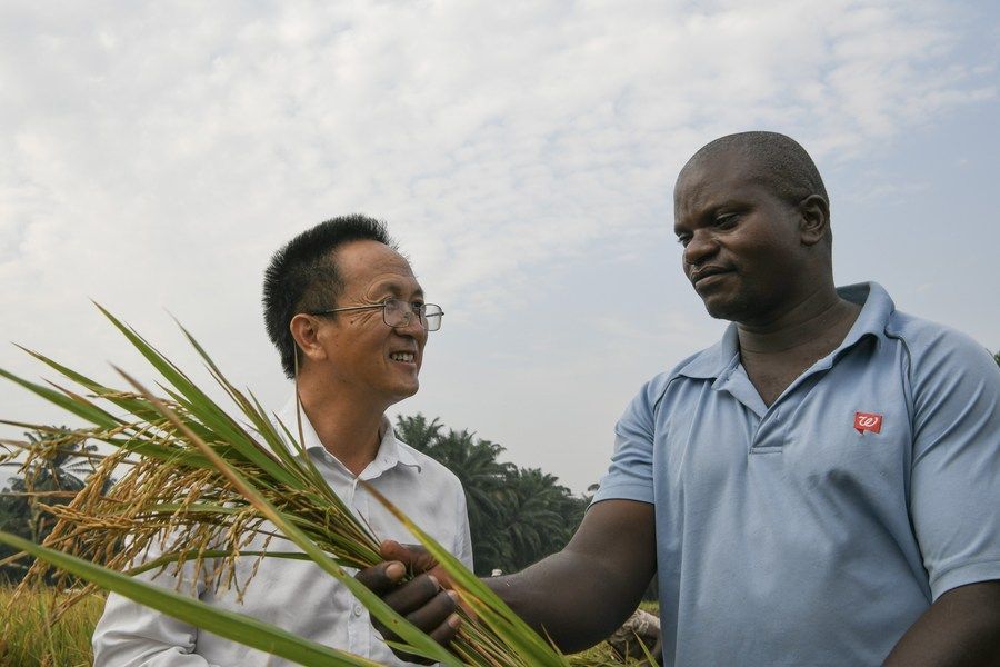 6月20日，在布隆迪布班扎省吉汉加县，中国农业专家组组长杨华德（左）在稻田间和农民恩根达库马纳·夏尔交流。新华社记者 韩旭 摄