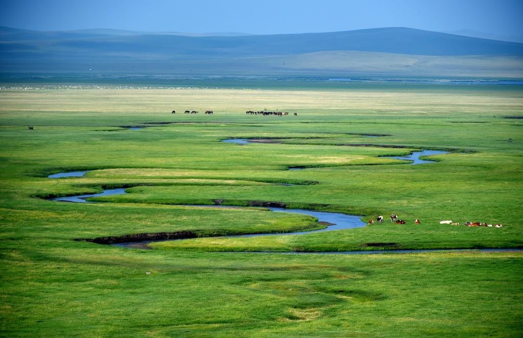 这是内蒙古锡林郭勒盟东乌珠穆沁旗美丽的乃林高勒草原风光（2019年7月20日摄）。新华社记者 任军川 摄