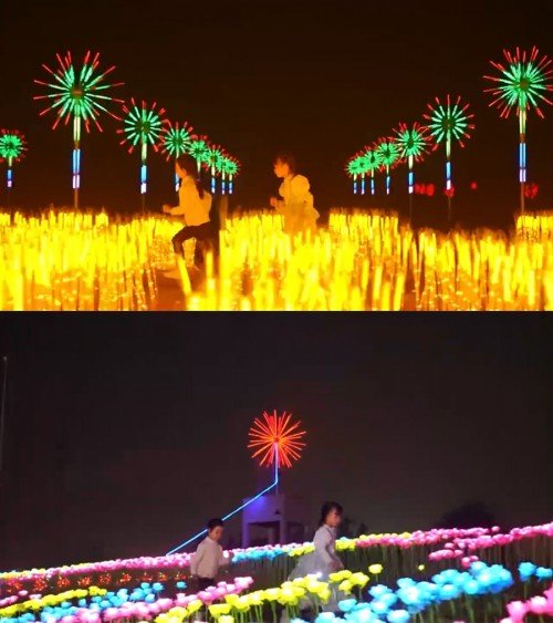 广州龙归南莲湾 春节溜娃好去处 玩足七天不重样