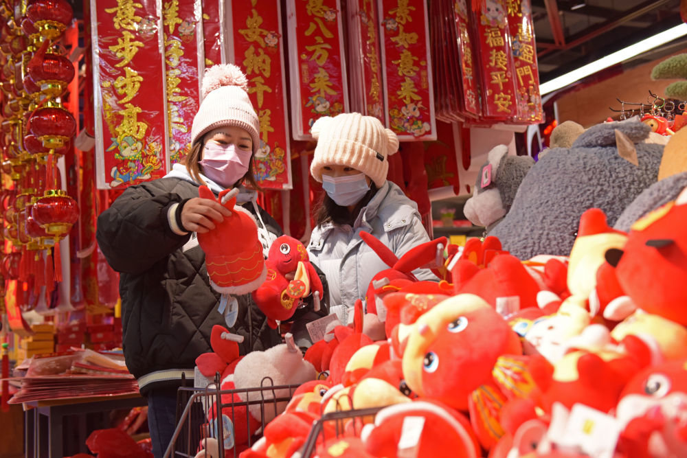 ↑1月1日，市民在贵州省黔东南苗族侗族自治州岑巩县一家商场选购兔年毛绒玩具。 新华社发（唐鹏 摄）