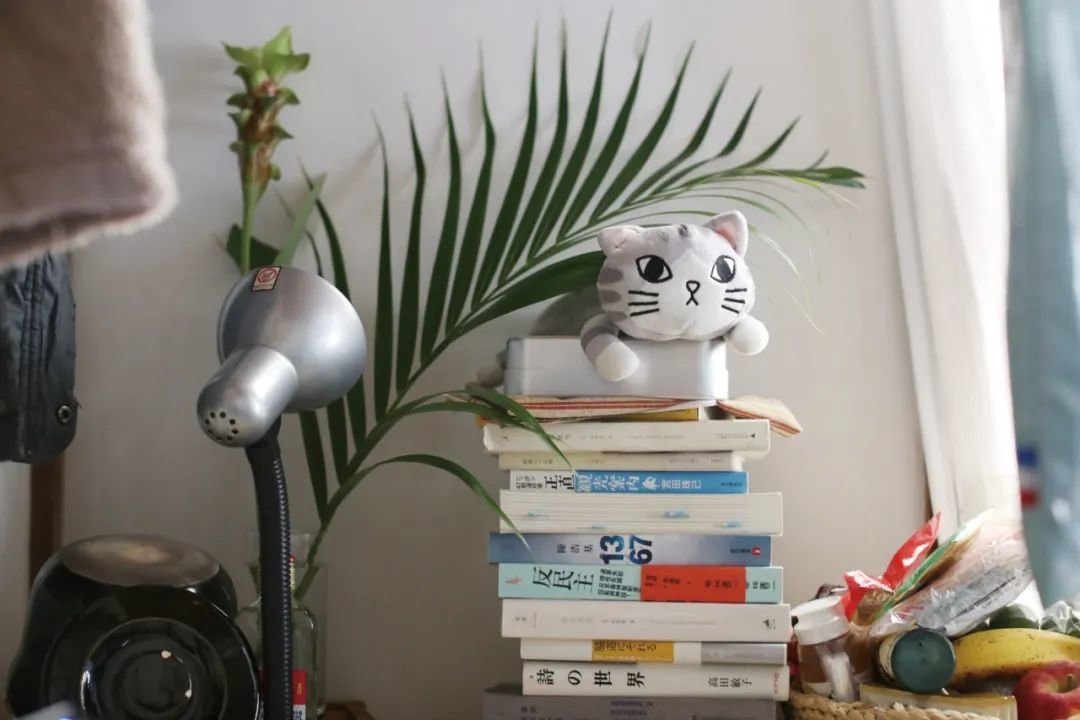 八平米小屋内部 (摄影:吉井忍)