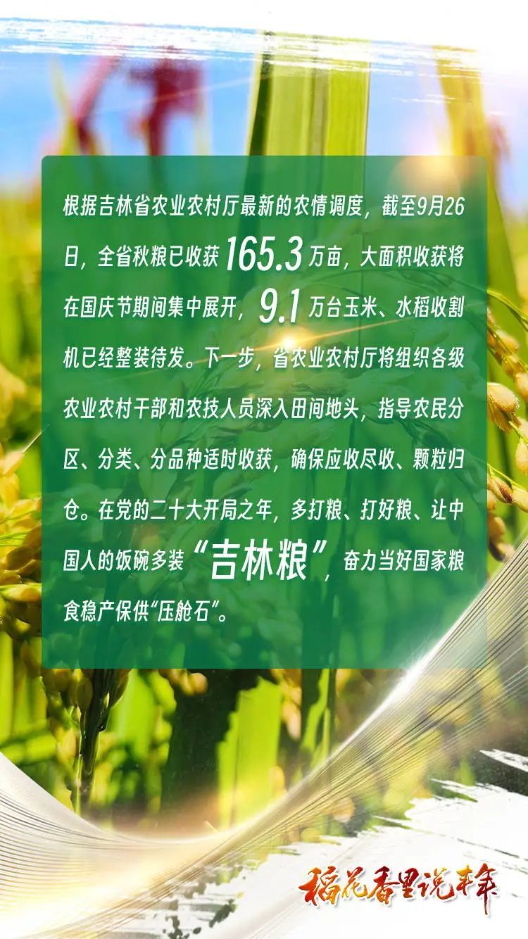 稻花香里说丰年丨吉林省再迎大丰收！粮食总产量预计850亿斤左右！