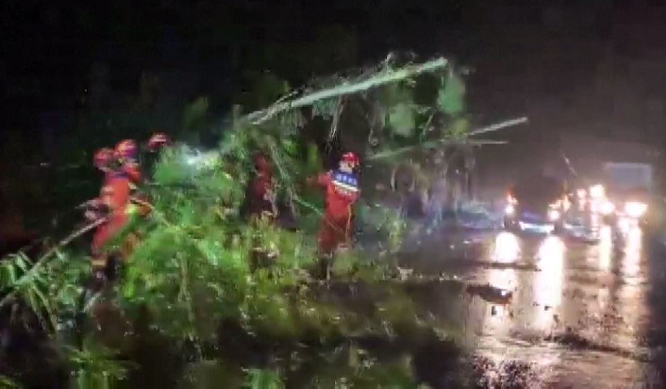 2023年6月25日，广西玉林，消防员正在移动折断的树木。（视频截图）